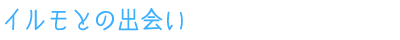 イルモとの出会い